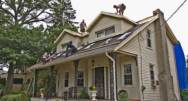 Best Roof Maintenance Services  in Mona, UT
